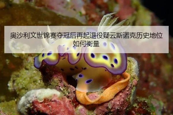 奥沙利文世锦赛夺冠后再起退役疑云斯诺克历史地位如何衡量