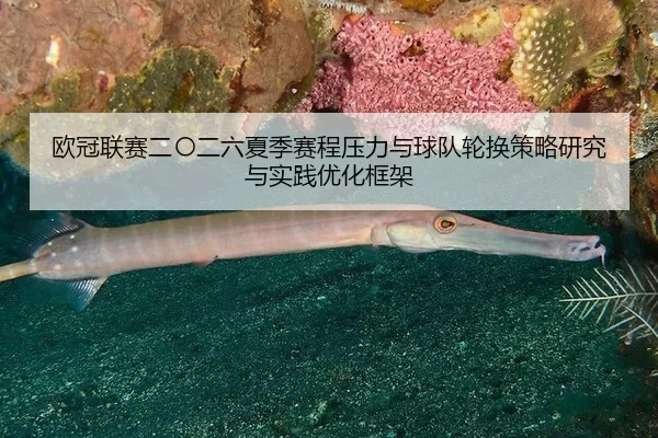 ou-guan-lian-sai-er-ling-er-liu-xia-ji-sai-cheng-ya-li-yu-qiu-dui-lun-huan-ce-lve-yan-jiu-yu-shi-jian-you-hua-kuang-jia-2-179.jpg